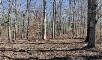 0009 SPRINGHOLLOW Rd Lot 9, Ashville, AL 35953