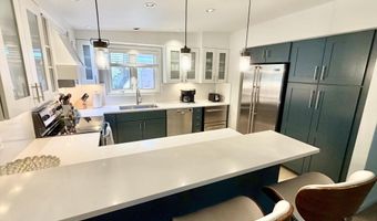 805 E Cooper Ave 12, Aspen, CO 81611