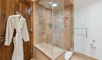 415 E Dean St. # 32 Wk 9, Aspen, CO 81611