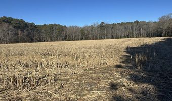 0 Bivalve Lodge Rd, Bivalve, MD 21814