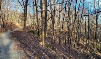 Tract 2-56.72 Ac Cone Orchard Lane, Blowing Rock, NC 28605