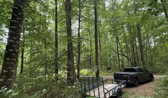 9999 Countryside Est, Barnardsville, NC 28709
