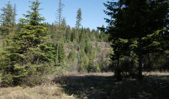 NKA 262 Ac N Side Rd, Calder, ID 83808