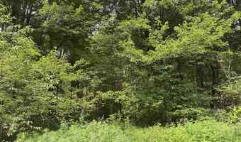 Spruce Rd 27, Blakeslee, PA 18610
