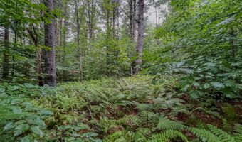 Johnson Rd lot 9, Becket, MA 01223