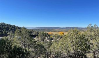 440 Run Around Rd, Arboles, CO 81121