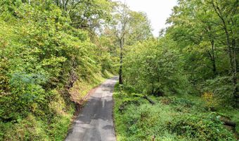 1515 Ned Clark Rd, Bean Station, TN 37708