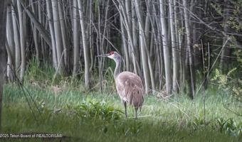300 W TETON HIDEAWAY Dr, Alta, WY 83414