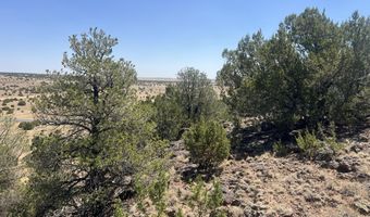5 County Rd # 8095, Concho, AZ 85924