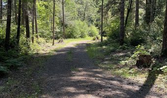 Agness-Illahe Rd, Agness, OR 97406