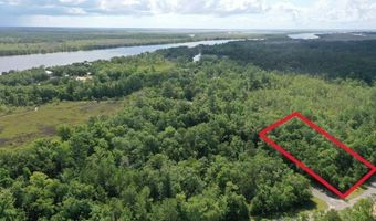135 Water Oaks Way, Apalachicola, FL 32320