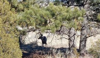Lot 15 Conejos Trl Blk 10, Antonito, CO 81120