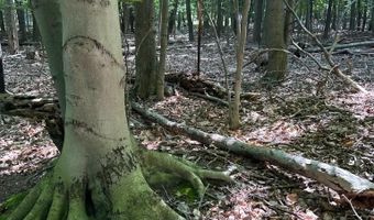 M22 Northwood Hwy, Arcadia, MI 49613