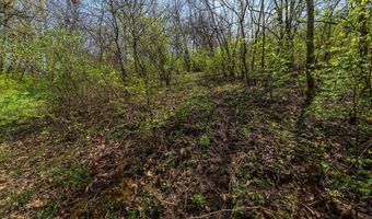 N6706 Dougherty Creek Rd, Argyle, WI 53504