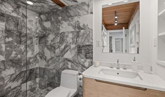 1024 E Cooper Ave 3A, Aspen, CO 81611