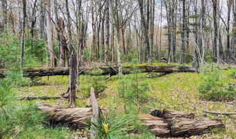1120 Bighorn Dr, Arkdale, WI 54613