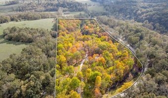 1026 Captain Ave, Aurora, MO 65605