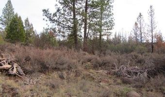 Polar Bear Lane lot 4, Bonanza, OR 97623
