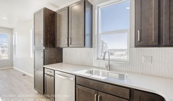 16565 Peak St, Broomfield, CO 80023