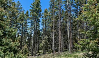 Lot 1267 STARLIGHT OVERLOOK, Angel Fire, NM 87710