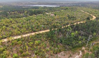 Channel Drive, Alford, FL 32420