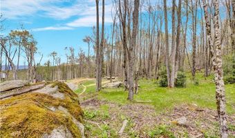 Es-97 Twisted Oak Path, Banner Elk, NC 28604