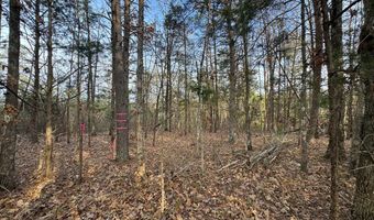 Watt Abbitt Road, Appomattox, VA 24522