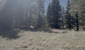 Calle de los Indios lot 58, Angel Fire, NM 87710