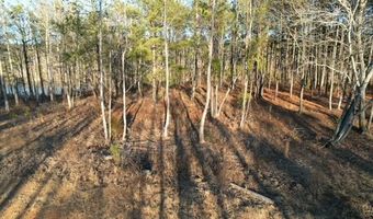 LOT 40 SHORESIDE AT SIPSEY, Double Springs, AL 35553