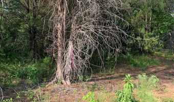 Rock House Road, Blacksburg, SC 29702