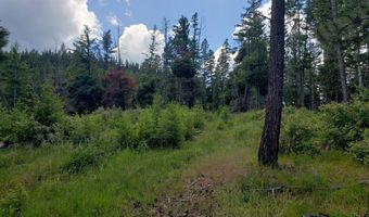 Lot 21 Arlee Pines, Arlee, MT 59821