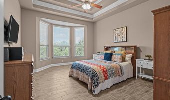 1926 Alpine Mist, San Antonio, TX 78258