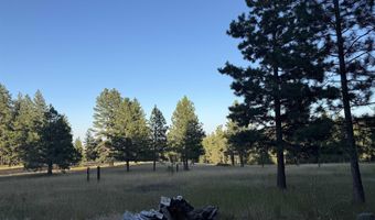 Tbd Harlow Ridge Rd - Cloverland Estates 36 & 37, Asotin, WA 99402