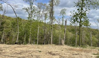 State Hwy N Tract G, Ava, MO 65608