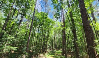 Tbd Bahalia Rd, Brookhaven, MS 39601