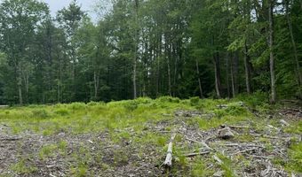 217-13 Washington St 13, Barrington, NH 03825