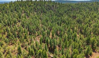 17775 County Road 51, Boncarbo, CO 81024