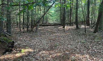 Lot 2B Gidsville Road, Amherst, VA 24521