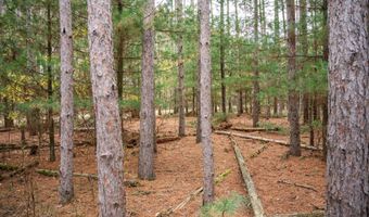 Lot 87 20th Avenue, Arkdale, WI 54613