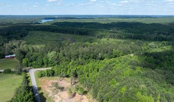 Lot 3a Elberton Highway, Lincolnton, GA 30817