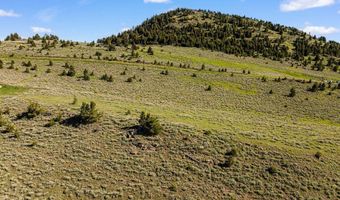502 Quinn Creek Rd, Bozeman, MT 59715