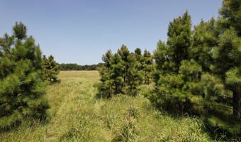 0001 E 1960 Rd, Antlers, OK 74523