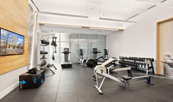 925 N FAIRFAX St 207, Alexandria, VA 22314