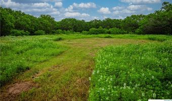 La Vernia Road, Adkins, TX 78101