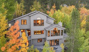 1139 BOREAS PASS Rd, Breckenridge, CO 80424