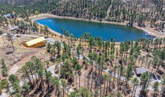 223 Lake Shore Dr Lot 1, Alto, NM 88312