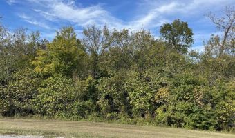 Nix RIdge Road, Ash Flat, AR 72513