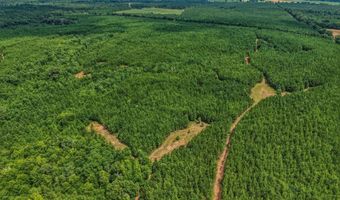 Harry Priddy Road, Americus, GA 31719