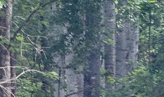 Piney Mountain Rd, Appomattox, VA 24522