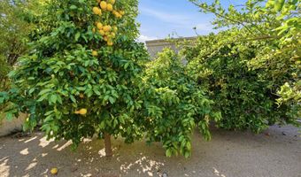 8944 E LAZYWOOD Pl, Carefree, AZ 85377
